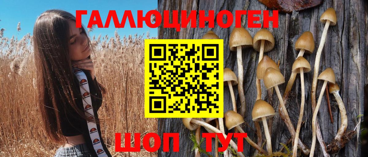 Чернушка  Галлюциногенные грибы мухоморы  Псилоцибиновые грибы прущие грибы  Вход с VPN 